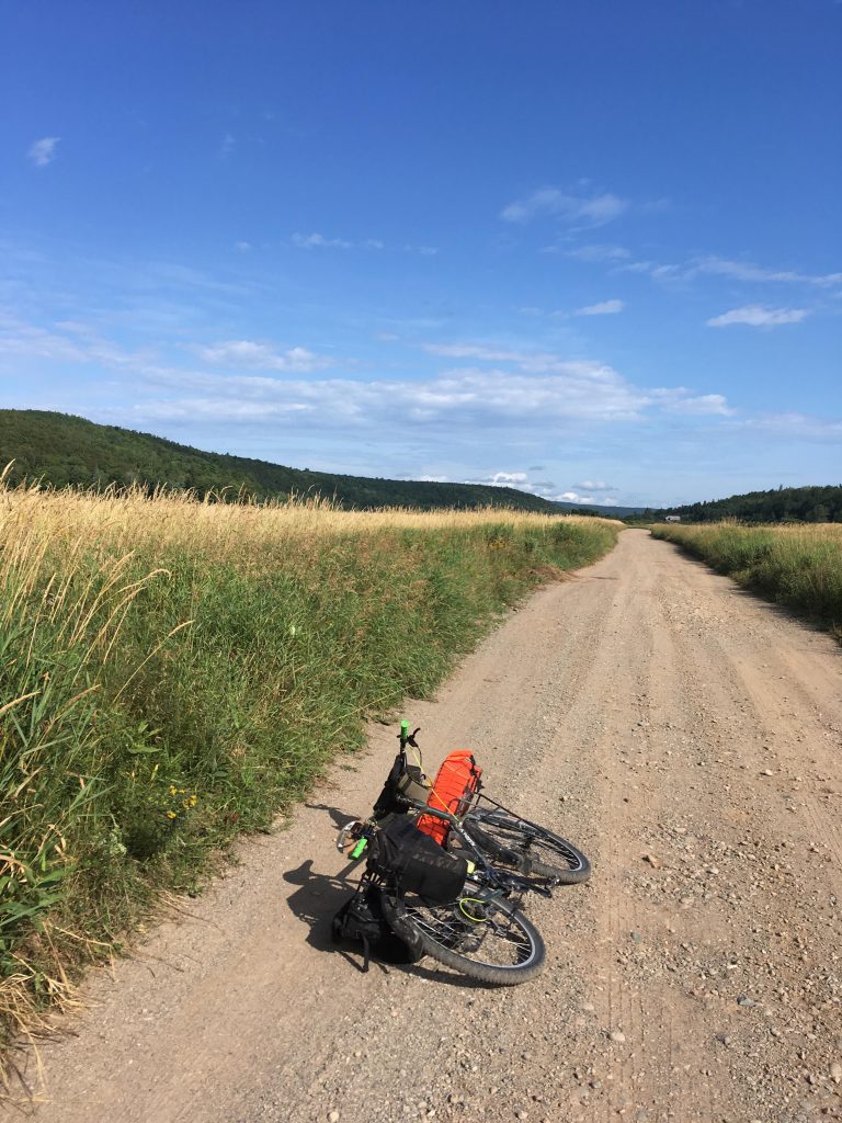 Surly Disc Trucker