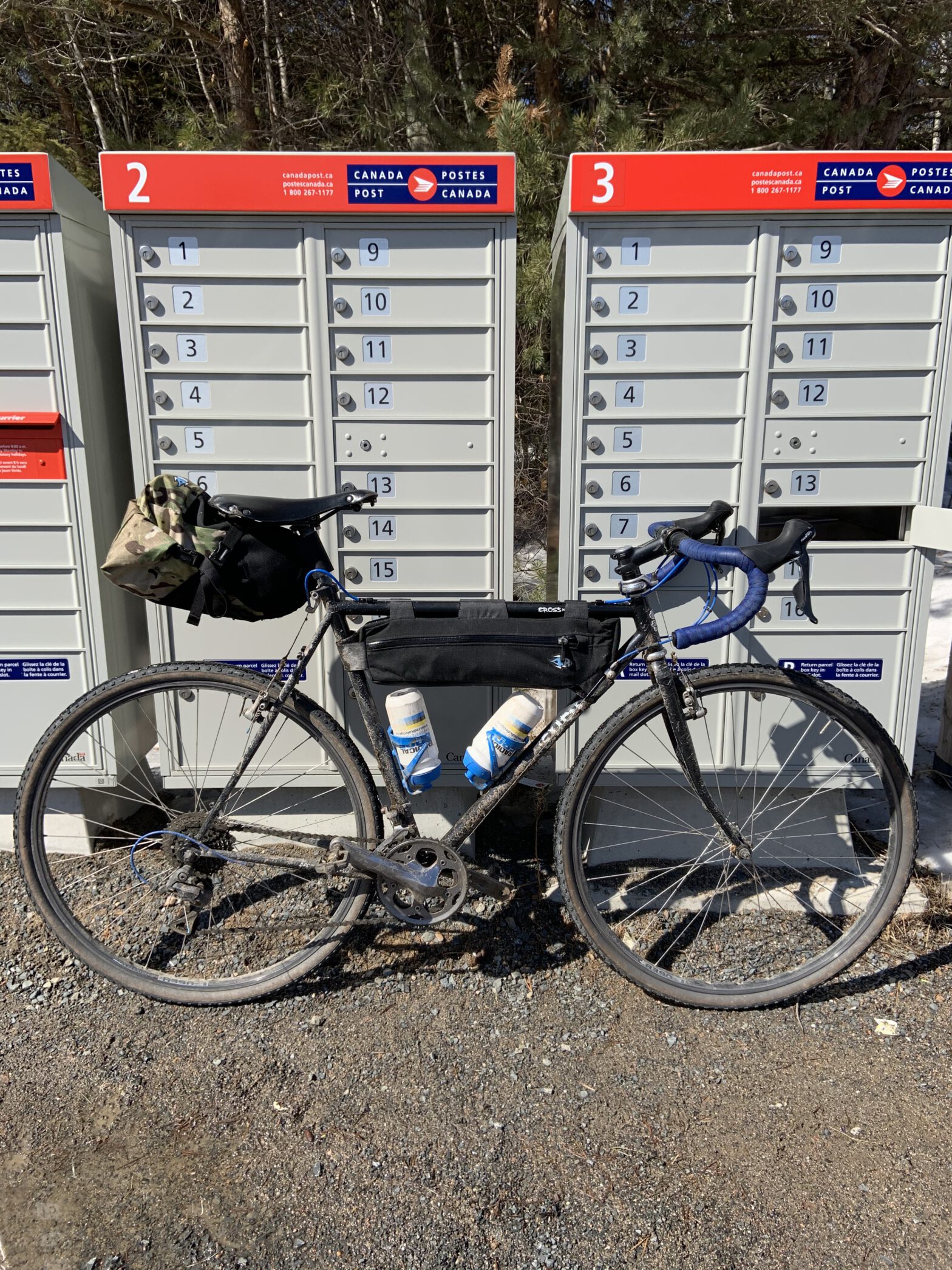 Bikes of the DadBikerDesigner Stable