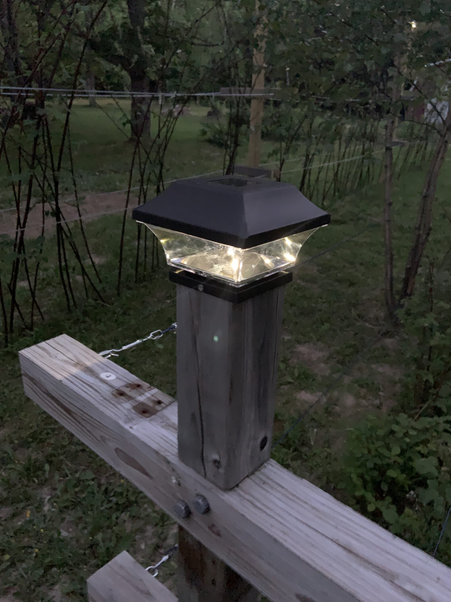 Berry Patch Lighting