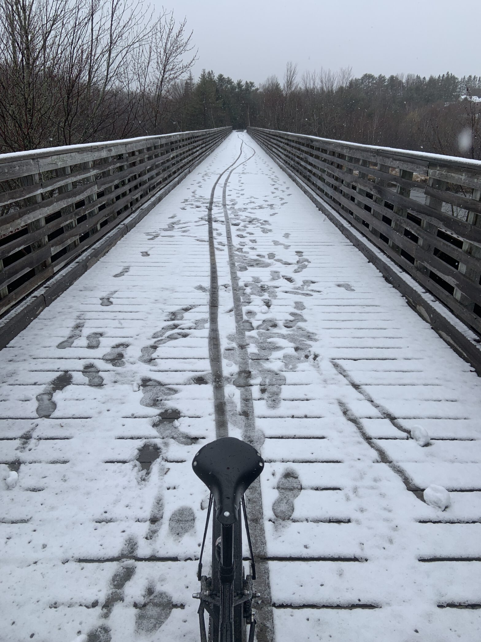 Spring in NB