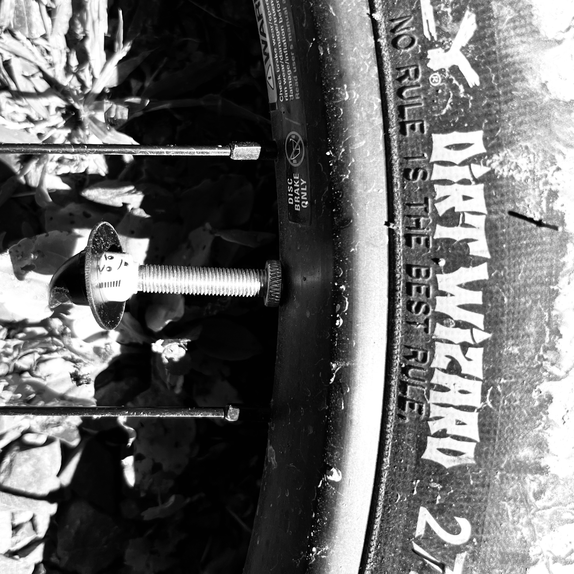 Dirt Wizard