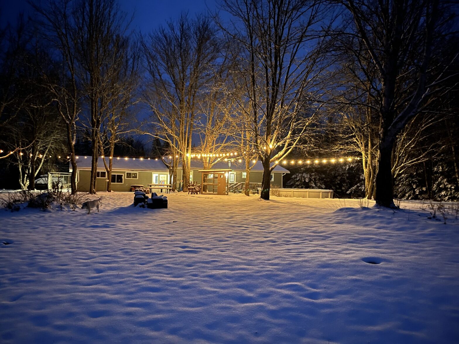 First Snow of the Year